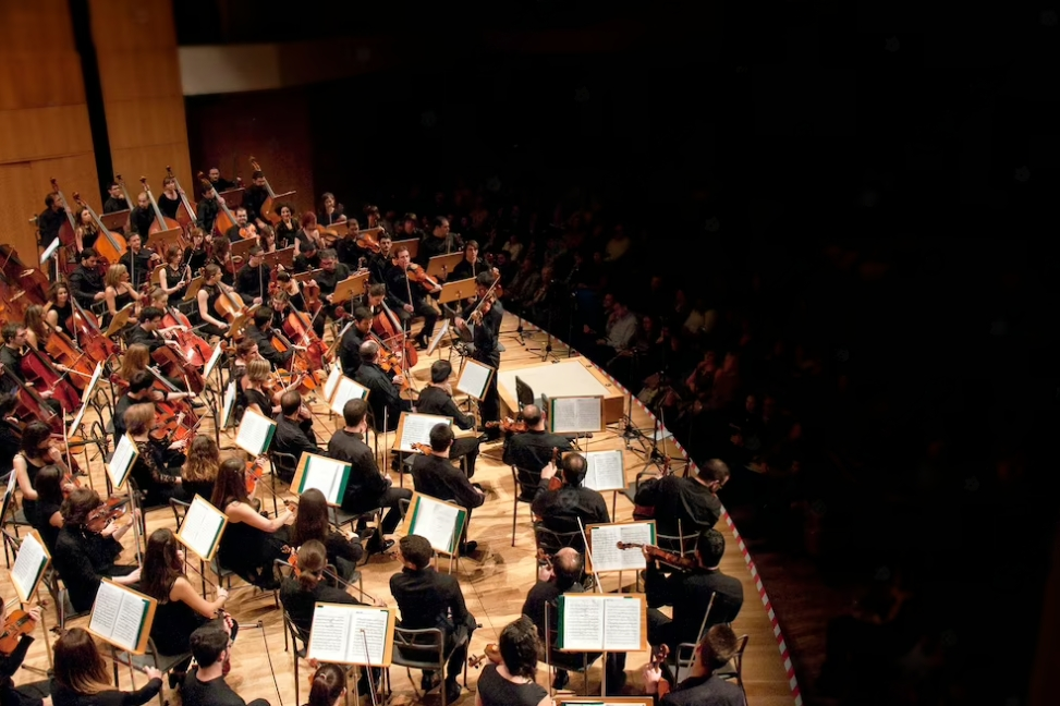 people sitting on the chairs in a symphonic orchestra performing on stage